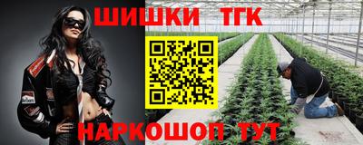 гашик Донецк