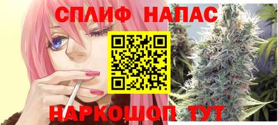 гашик Донецк