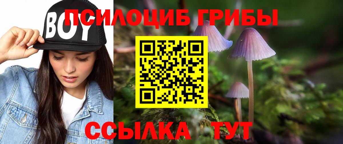 Миасс  Псилоцибиновые грибы MAGIC MUSHROOMS  Галлюциногенные грибы Magic Shrooms  Вход с VPN 