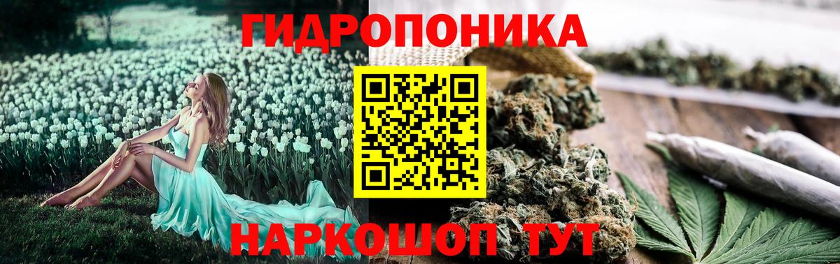 МАРИХУАНА сатива  Вход с VPN  МАРИХУАНА Ganja  Миасс  Каннабис сатива  Шишки марихуана Ganja 